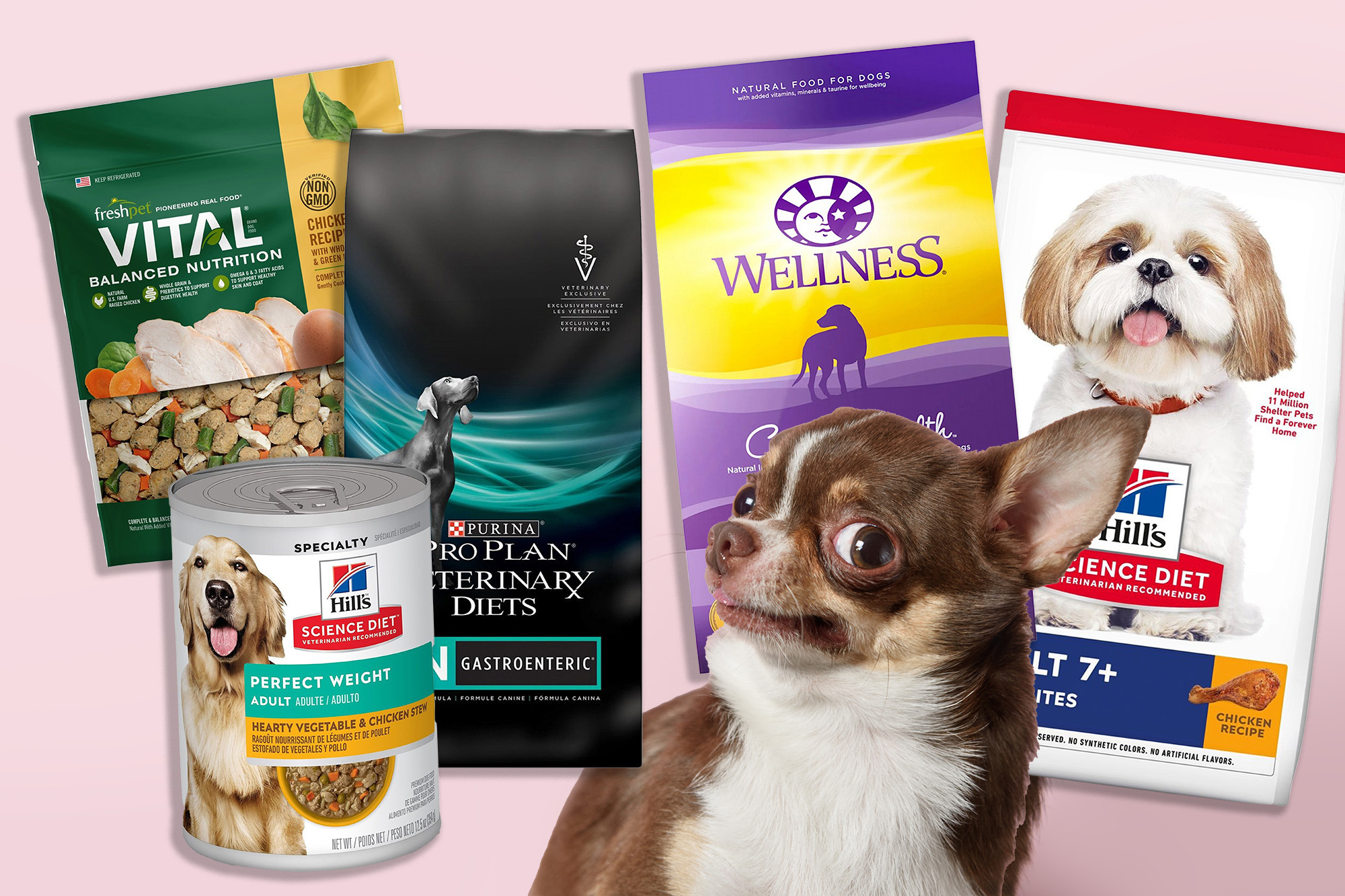 Dog Food Buying Guide Y2Mate dog-food-buying-guide-y2mate