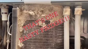 samsung  fridge Clean the Condenser Coils